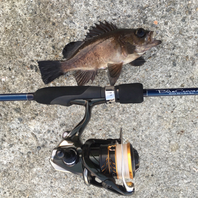 夕まずめの全集中❗️