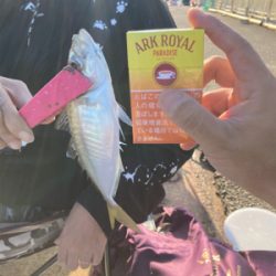 アジの入れ食い