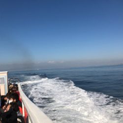 アジに、イワシに、サヨリ！堤防からのライトな釣りを満喫