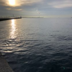 またまた武庫川一文字に