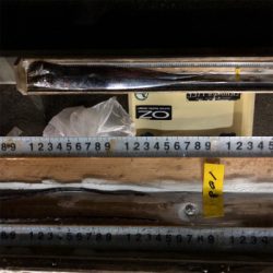 ドラゴンには出会えませんでしたが・・・