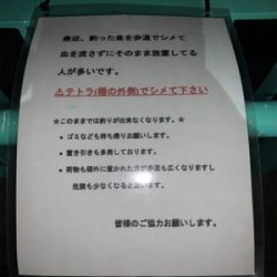 7ヶ月ぶりのアジング