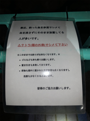 7ヶ月ぶりのアジング
