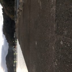 夕まずめにアジの回遊！