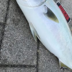 ☆3日で4回釣行