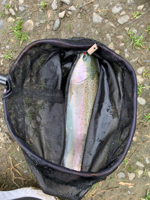 久しぶりのエリア