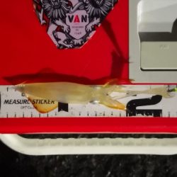 アジング練習 237