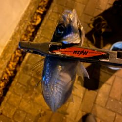 道具選びの大切さ❗️