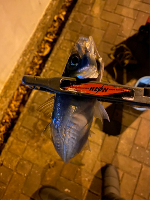 道具選びの大切さ❗️