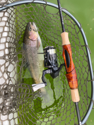 エリアトラウト