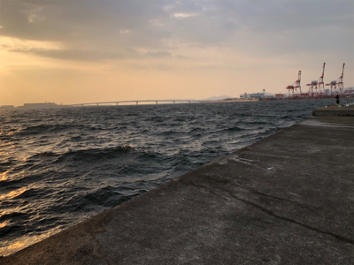 サゴシも釣りたかった