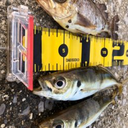 どうにかならんかな〜