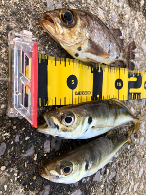 どうにかならんかな〜