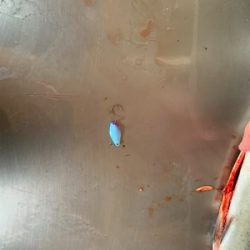 フィッシュオン王禅寺にて…