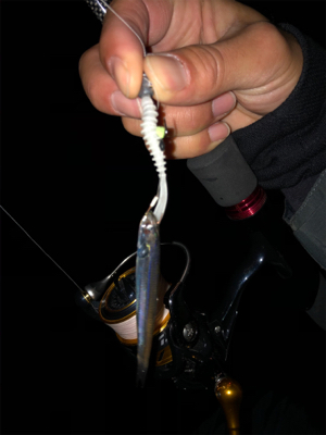 エギング釣行のはずがアジングしてる