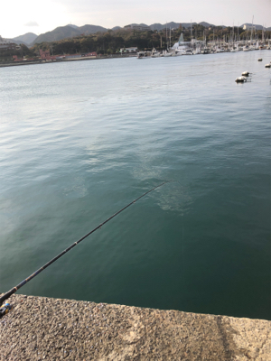 アジはいないが、イワシが乱舞！しかし、イワシとの知恵比べ。