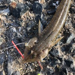 年内最後のキス