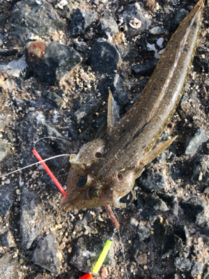 年内最後のキス