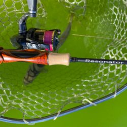 エリアトラウト