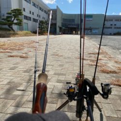 服部緑地 エリアトラウト 管釣り