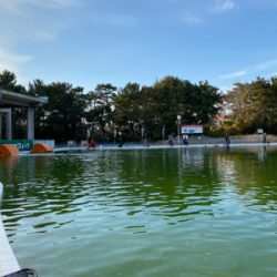 服部緑地　満員です。