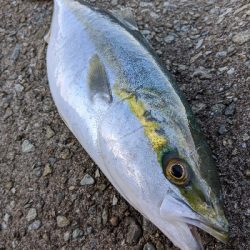 今年最後かな〜？