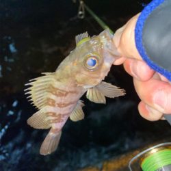 良型狙いなんとかなる