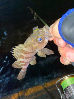 良型狙いなんとかなる