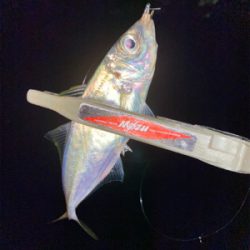 型狙いのはずが