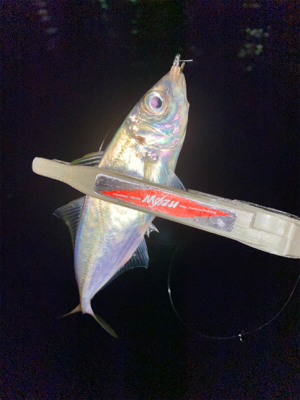 型狙いのはずが