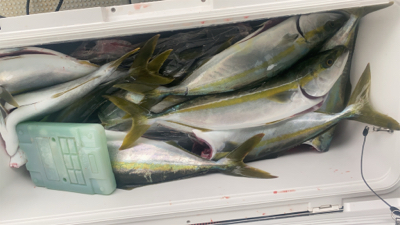 オフショア納め