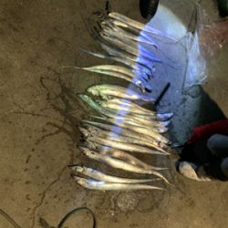 爆風メリークリスマス