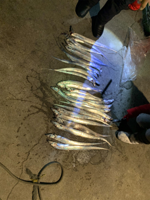 爆風メリークリスマス