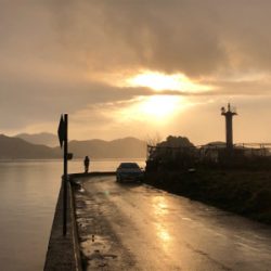 必見！サゴシの夢は終わらないゾ