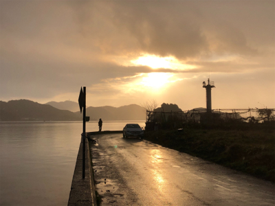 必見！サゴシの夢は終わらないゾ