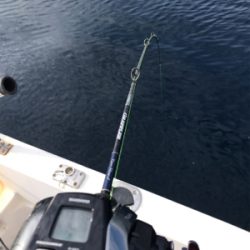 2020 釣り納め釣行