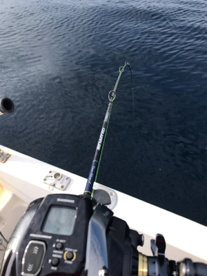 2020 釣り納め釣行