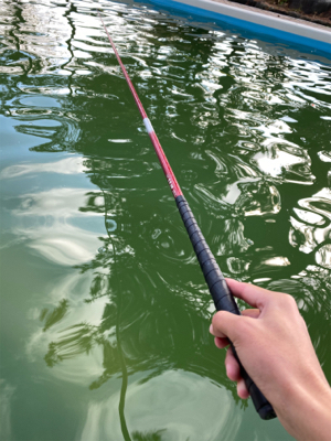 エンジョイトラウト