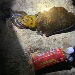 サイズが伸びず…