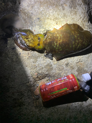 サイズが伸びず…