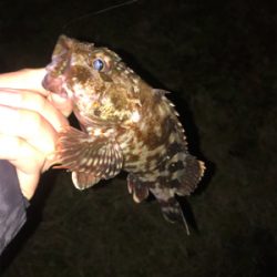 2020年ラスト釣行