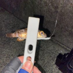 寒さに負けず新規開拓