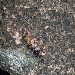 仕事帰りにライトゲーム