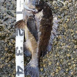 イチノ兄弟、釣果!