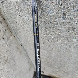 シーバスの外道?