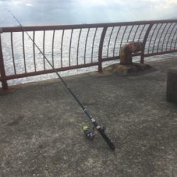 冬のちょい投げ