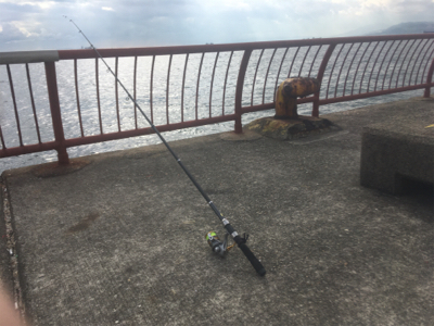 冬のちょい投げ