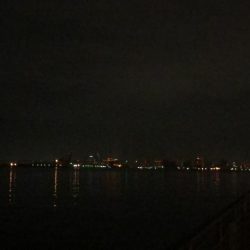 先週に引き続きサゴシ！待望の太刀魚も！