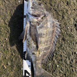 イチノ兄弟、釣果！