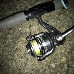 1人きりのメリクリ釣行